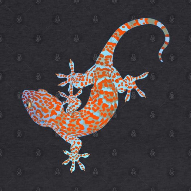 Tokay Gecko by ziafrazier